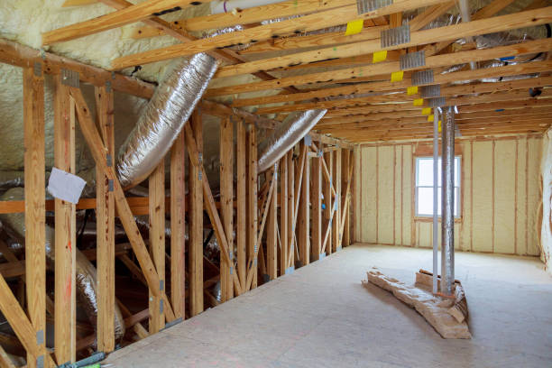 Best Insulation Removal  in Bourbon, MO