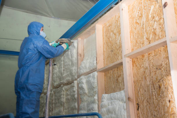 Best Spray Foam Insulation  in Bourbon, MO